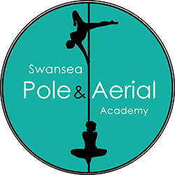 Swansea Pole and Aerial Academy